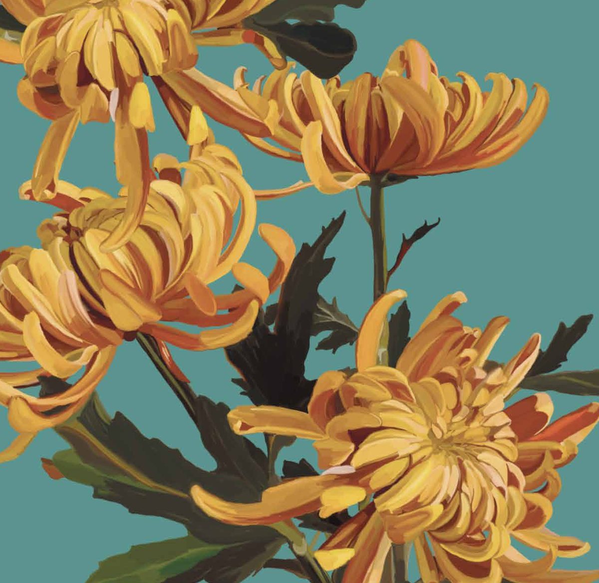 Studio Nila print