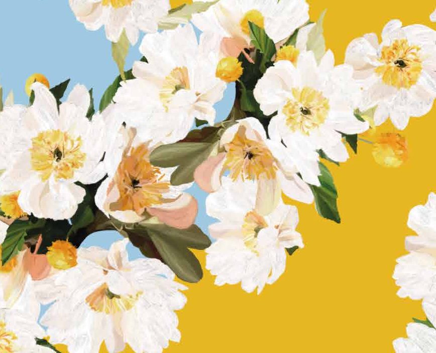 Studio Nila print